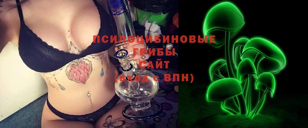 шишки Верхний Тагил