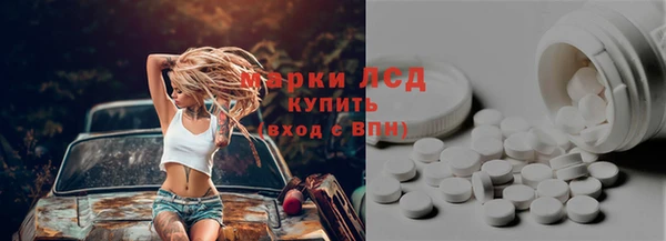 шишки Верхний Тагил