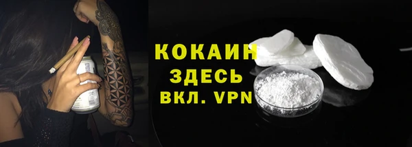 шишки Верхний Тагил