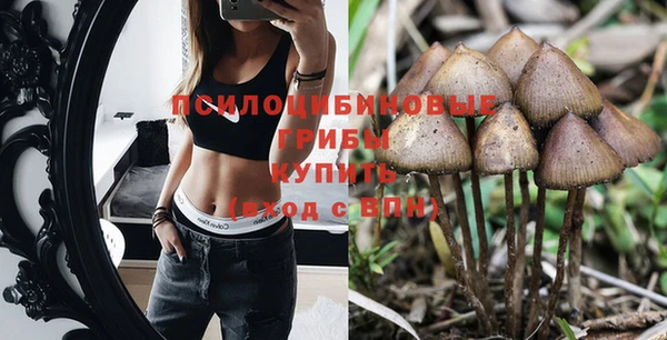 тгк Бородино