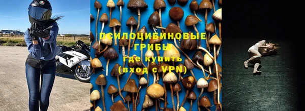 шишки Верхний Тагил