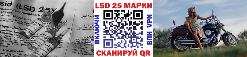 наркота  Каменногорск  ЛСД экстази кислота 