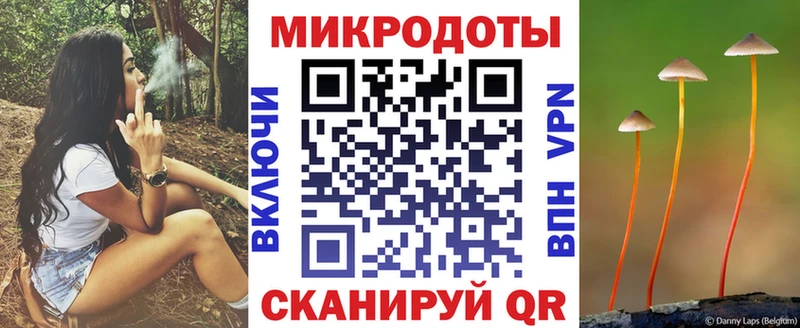 Псилоцибиновые грибы GOLDEN TEACHER  Каменногорск 